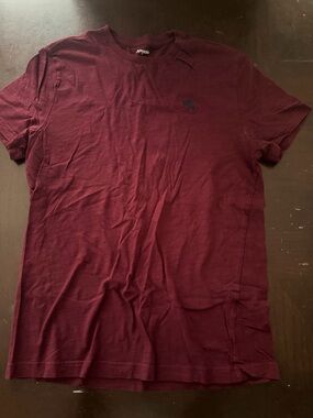Express Men’s Short-Sleeve Crew Neck Tee in Deep Berry